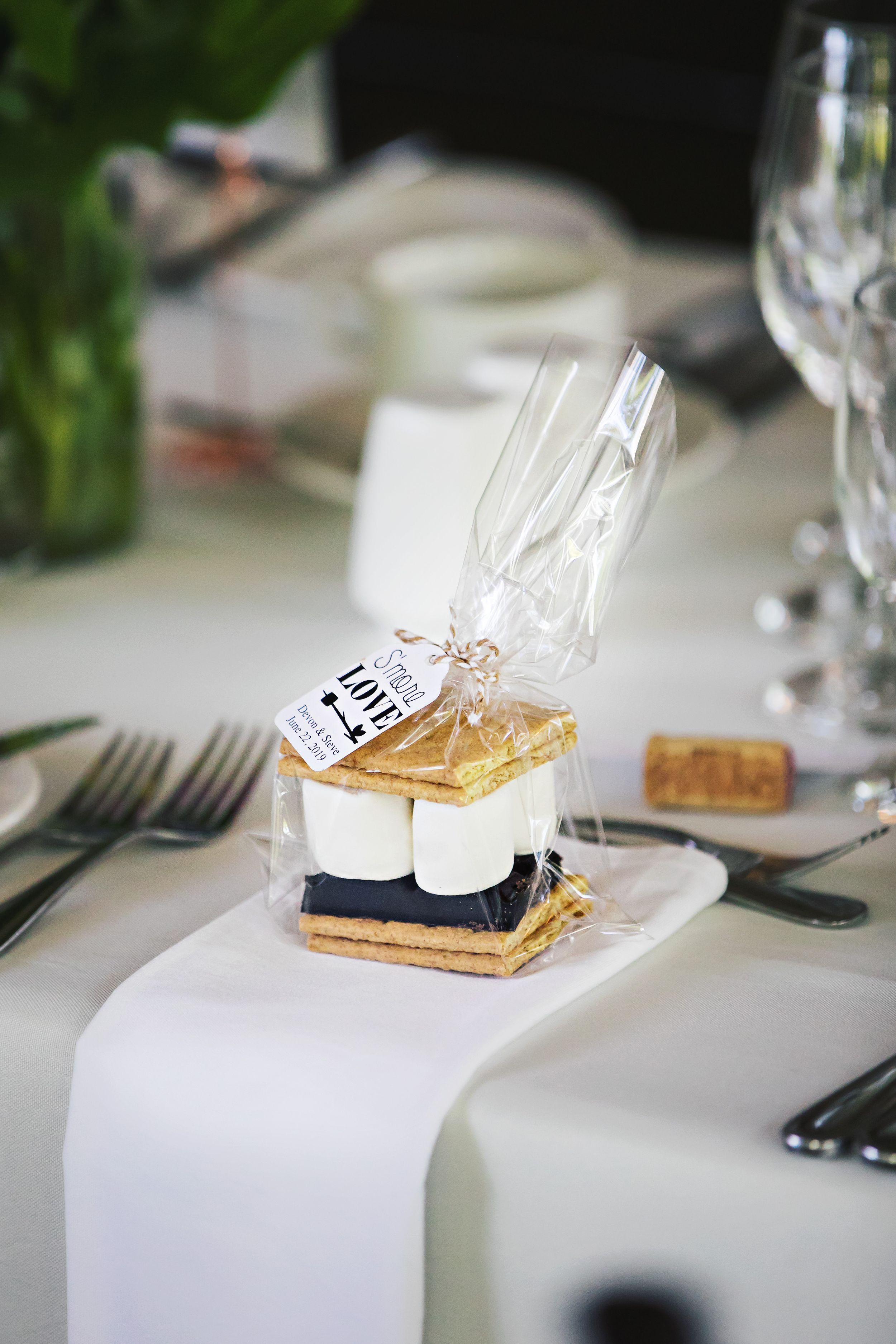 Hidden Valley Resort Huntsville Ontario Wedding Photos Shawn Van Daele