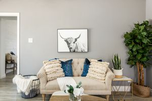 love seat with pillows and blanket basket and plants