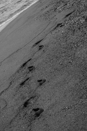 Footprints in the sand, on the Andaman coast in Thailand