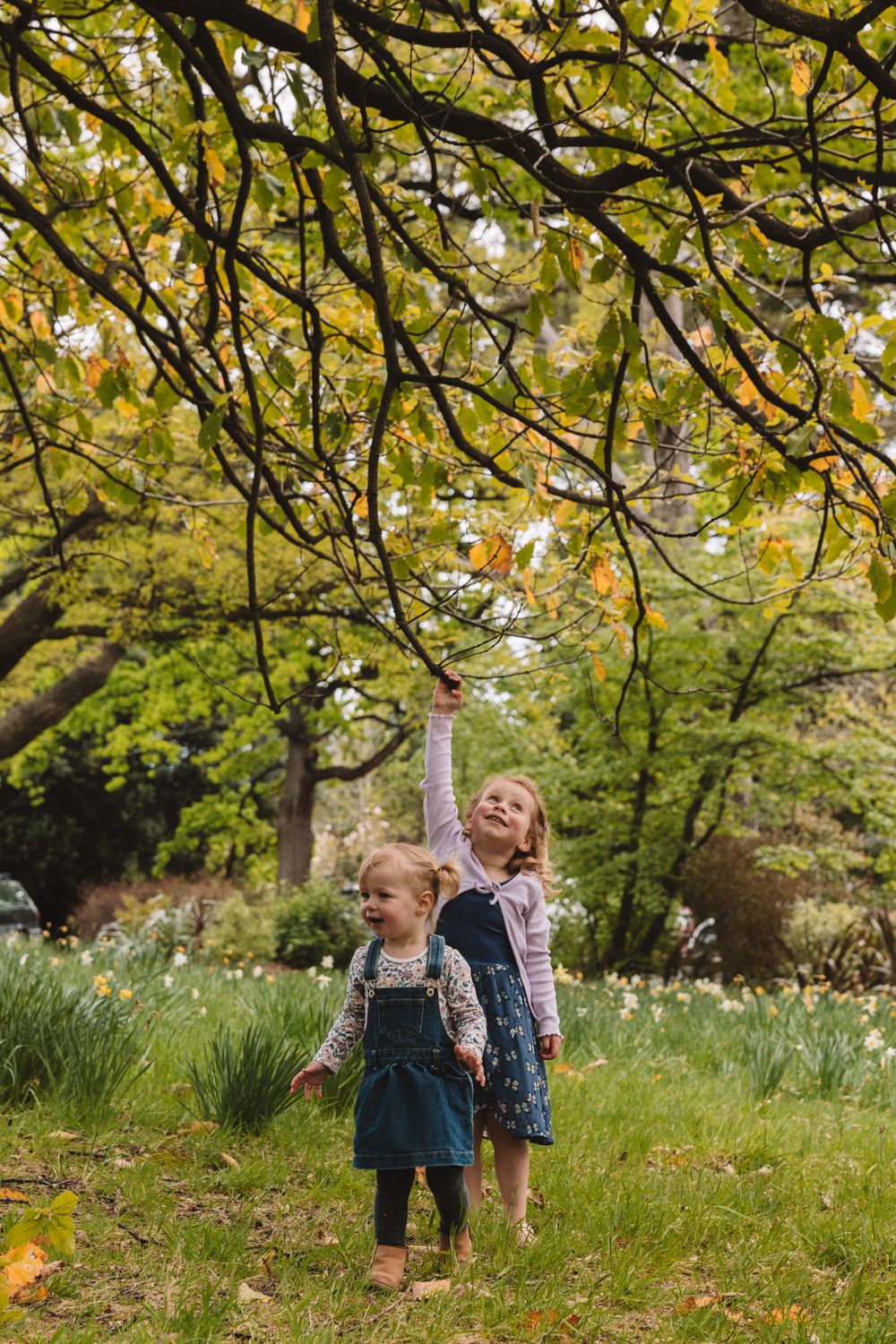 Two people reach up to touch tree branches in a lush garden filled with spring flowers.