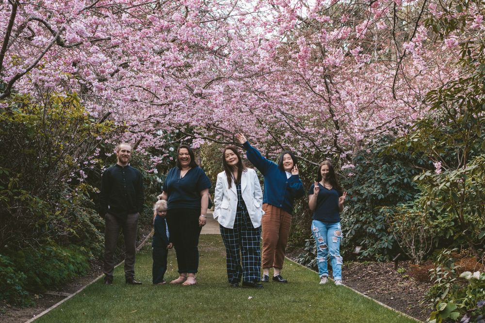 A group stands together on a path beneath blooming pink cherry blossom trees in springtime.