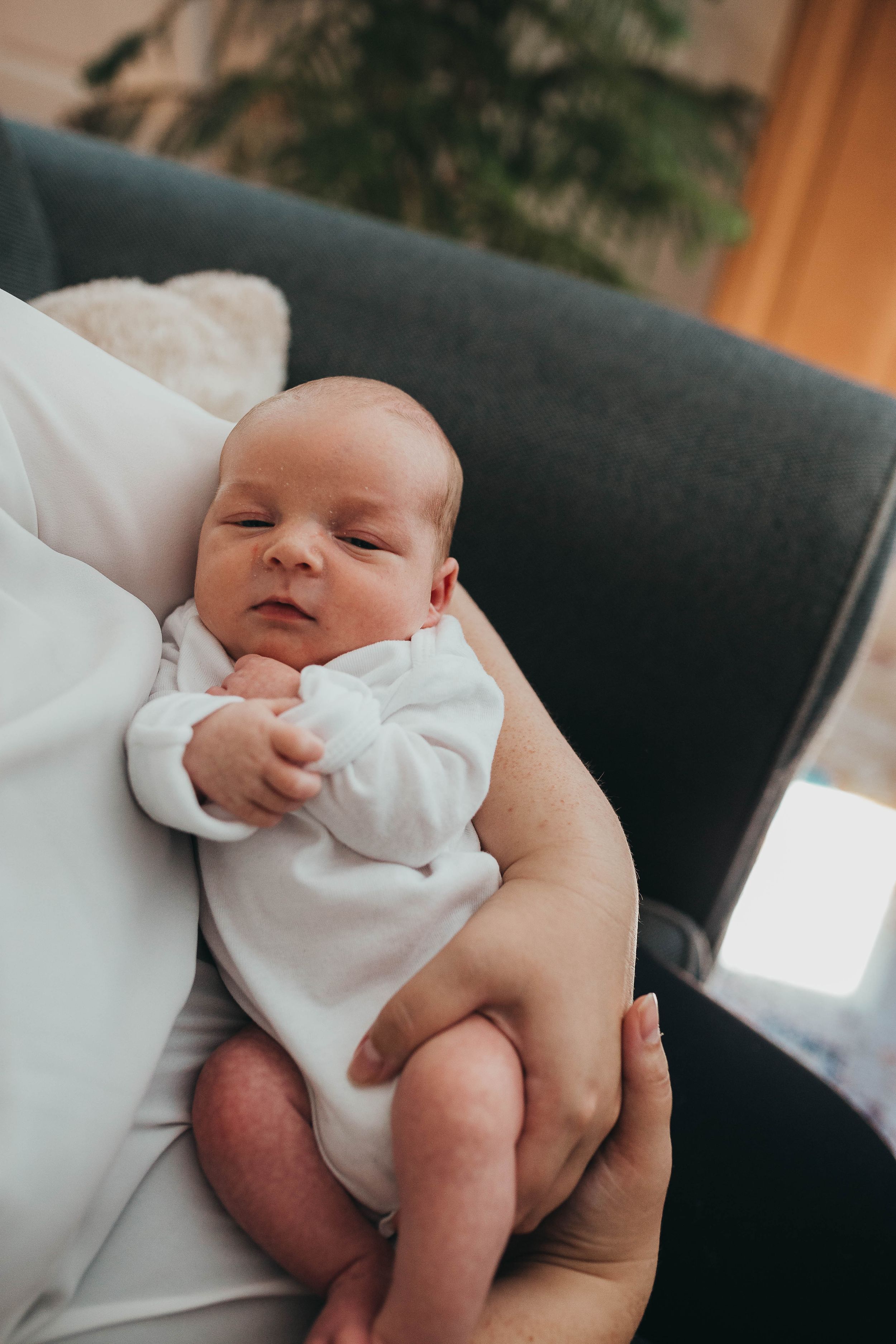 newborn baby by boston newborn photographer