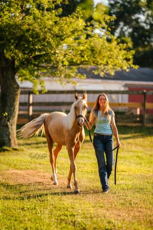 TX Equine photographer leigh fields photography