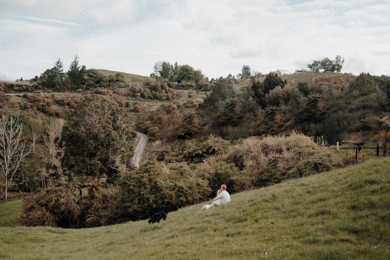 A couple and their dog walk along a hillside path surrounded by natural landscape.