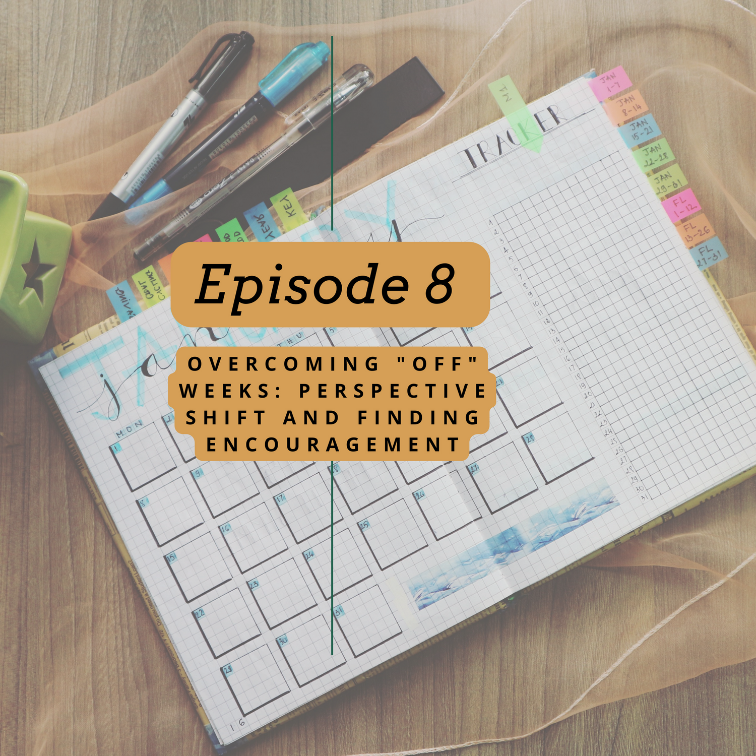 Overcoming "Off" Weeks: Perspective Shift and Finding Encouragement | Episode 8 | The Woman of Courage Podcast