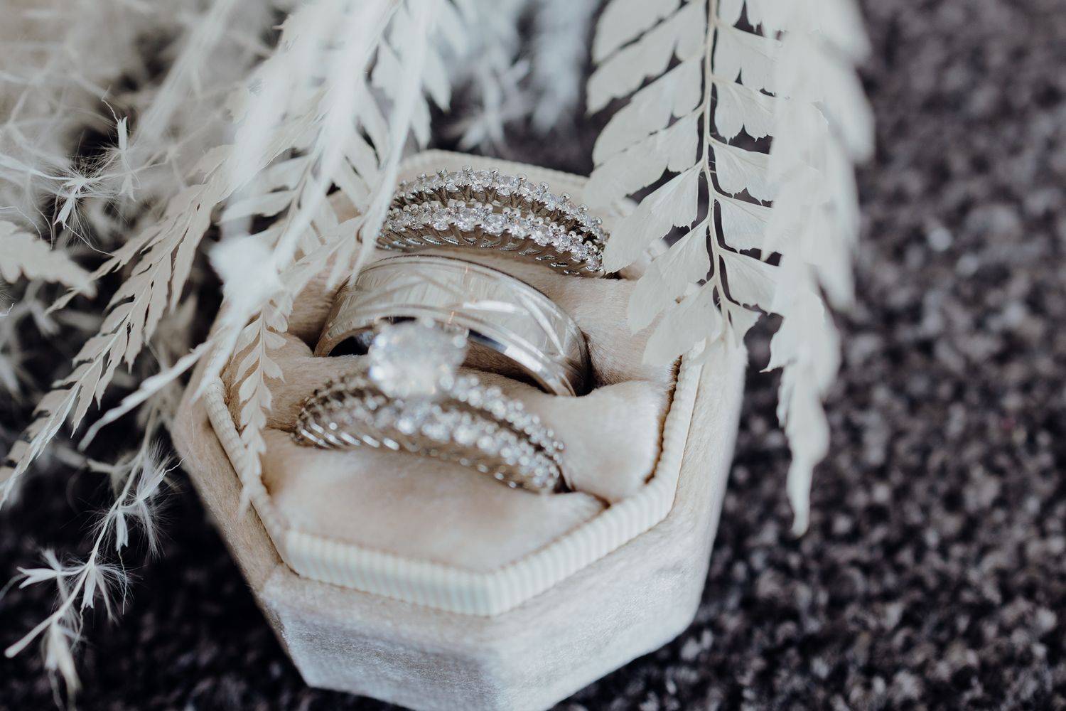 Wedding rings nestled in white hexagonal box with delicate feather decorations.