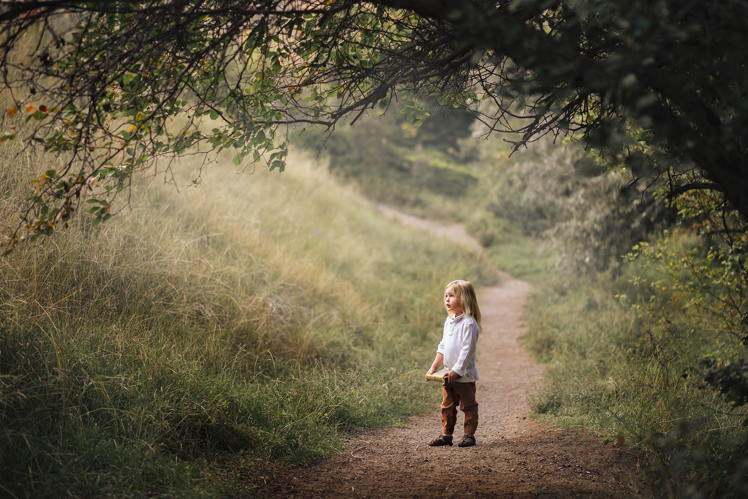 fine art prints kamloops, photo printing kamloops, high quality prints kamloops