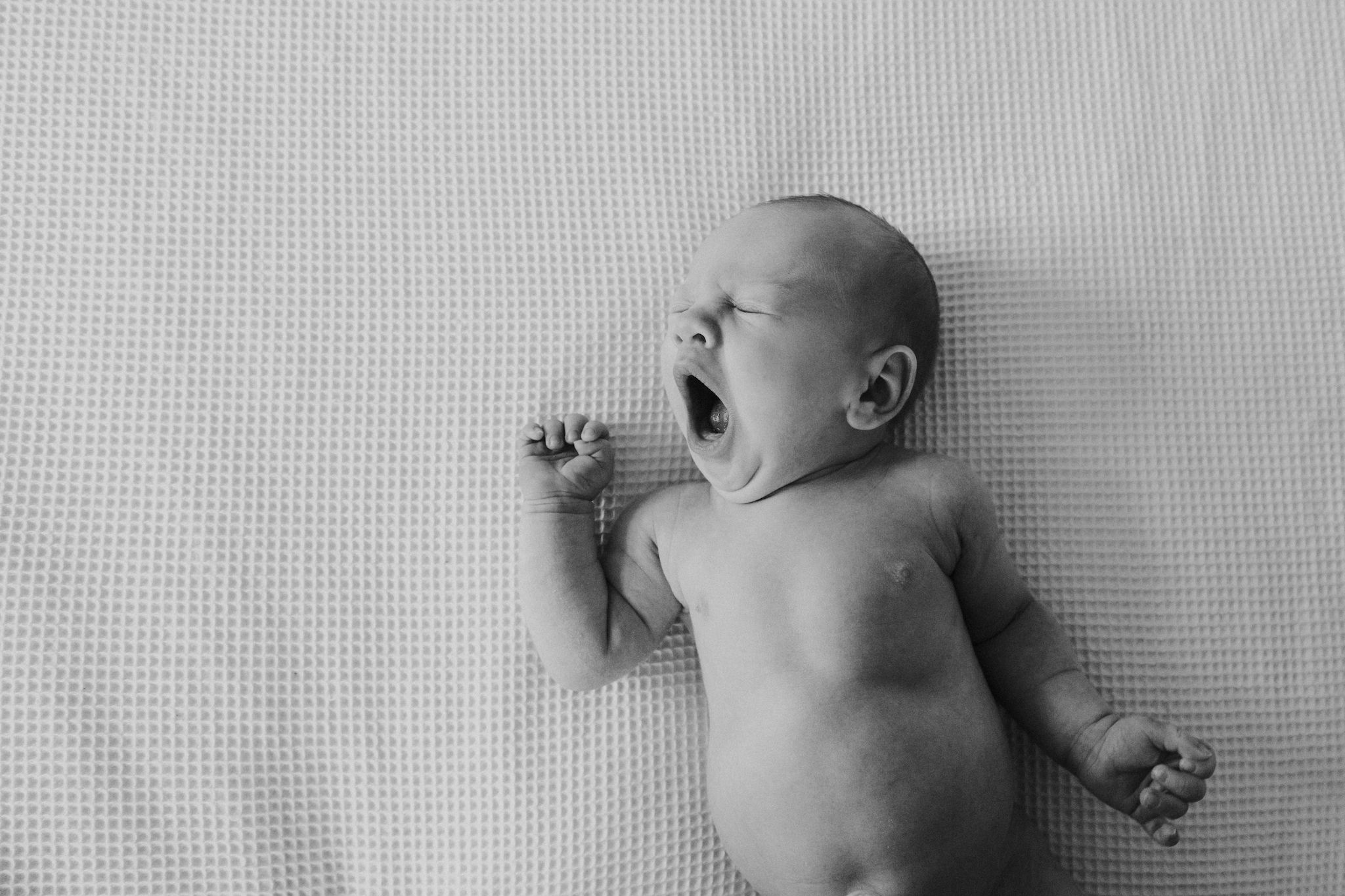 nelson-newborn-photographer