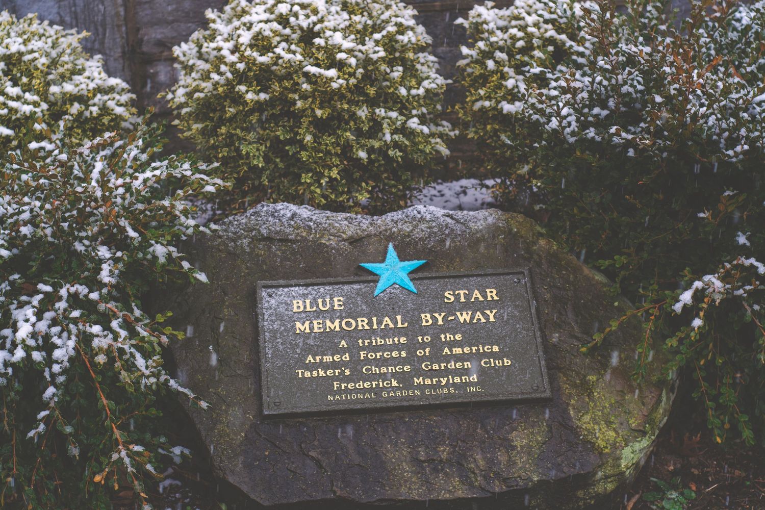 A placard on a stone for the Blue Star Memorial By-Way.