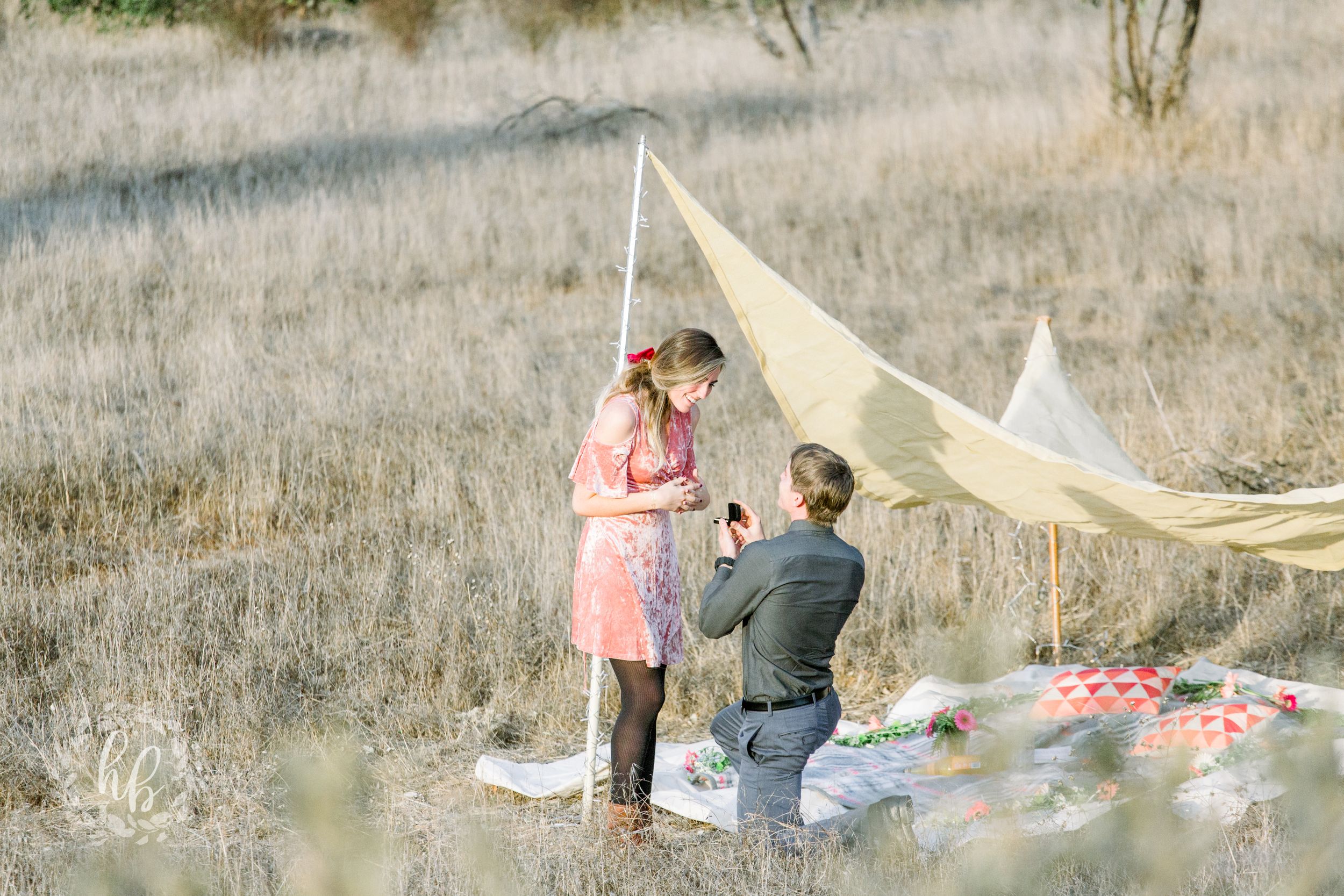 open field sunset proposal engagement photos