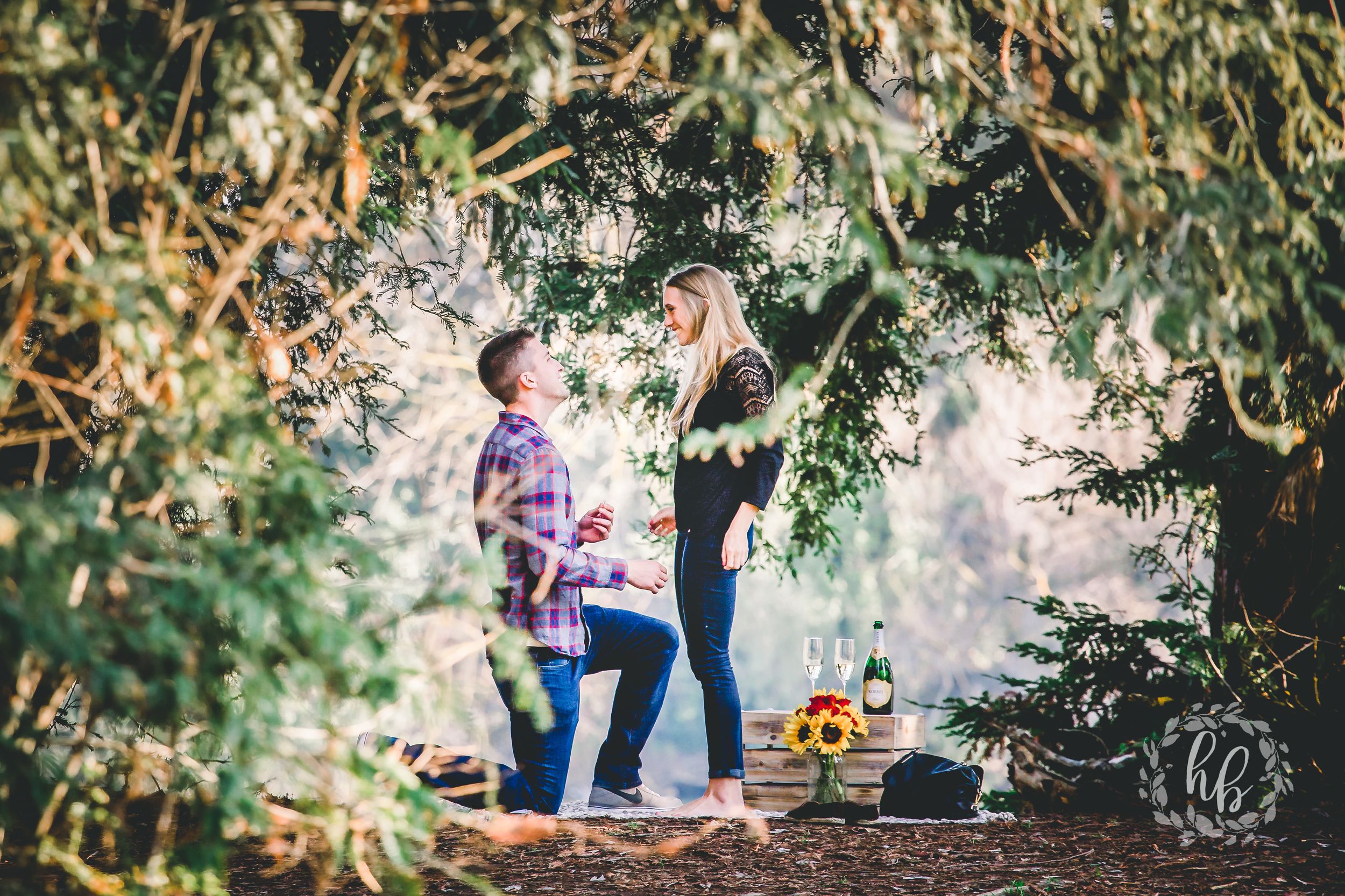 lakeside proposal engagement photos