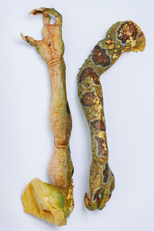 Gremlins 2 movie arms