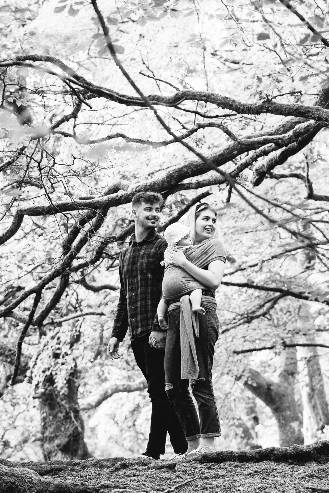 new family adventures in woodland in Devon