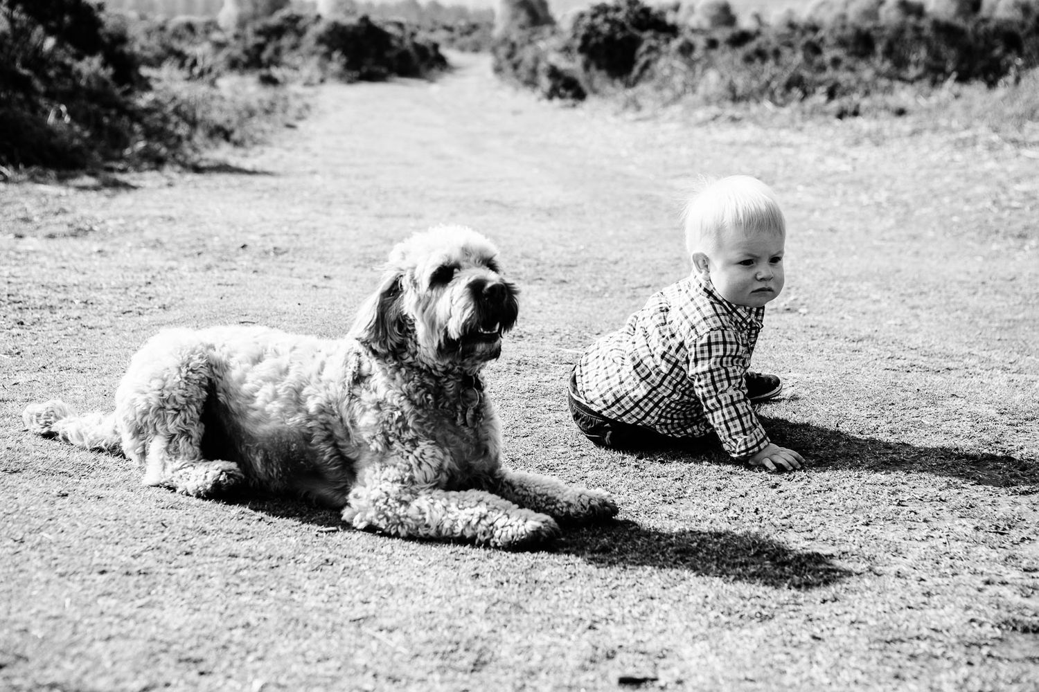 natural family photography in Devon by photographer Elizabeth Armitage
