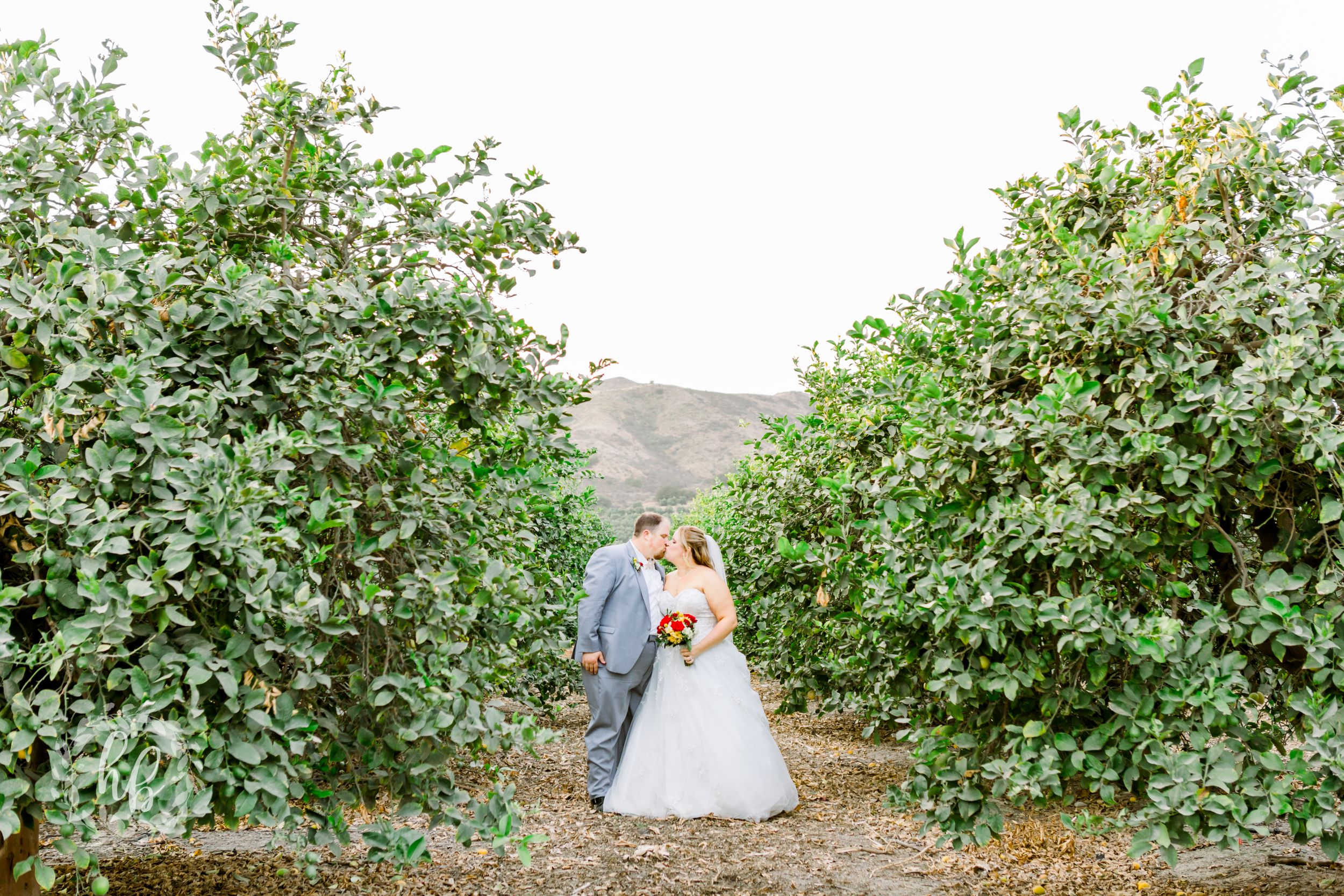limoneira ranch wedding photos santa paula wedding wedding photographer