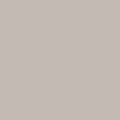 Warm Grey Touch Album Colour Swatch