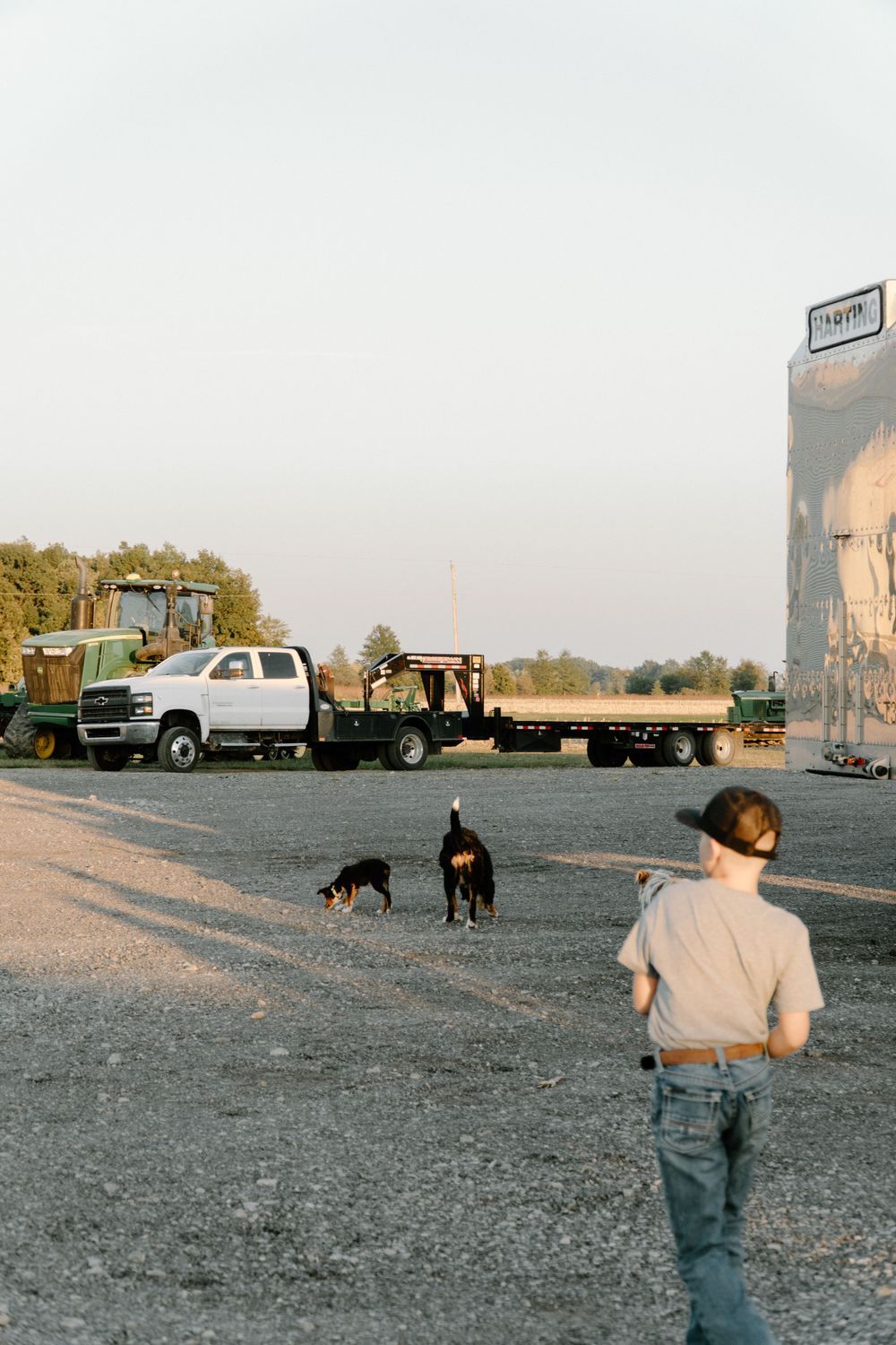 Farm equipment and trucks parked in a gravel lot with dogs running in the foreground.