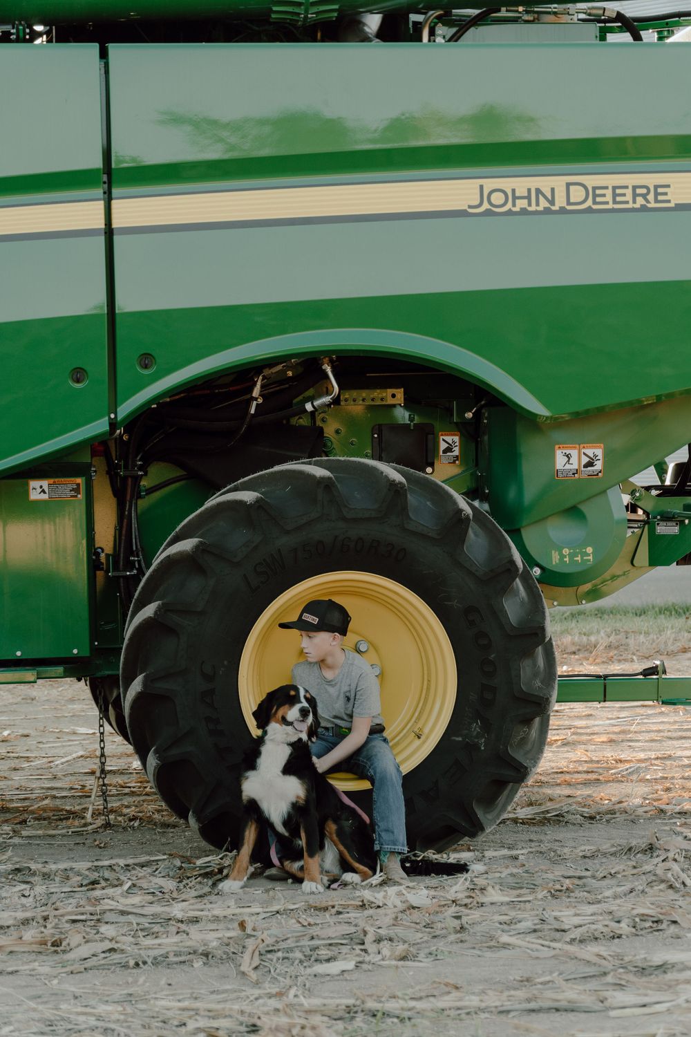 Australian Shepherd dog sitting with companion by large tractor tire.