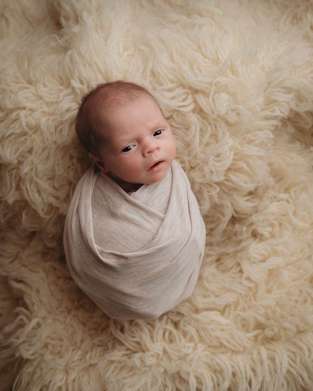 Professional newborn photo - cream