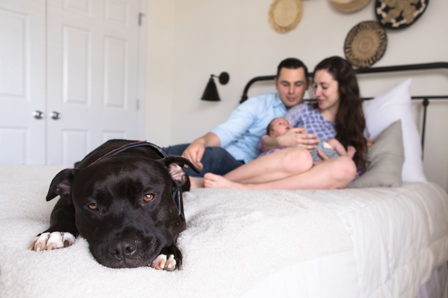 Newborn Photographer Lillington North Carolina