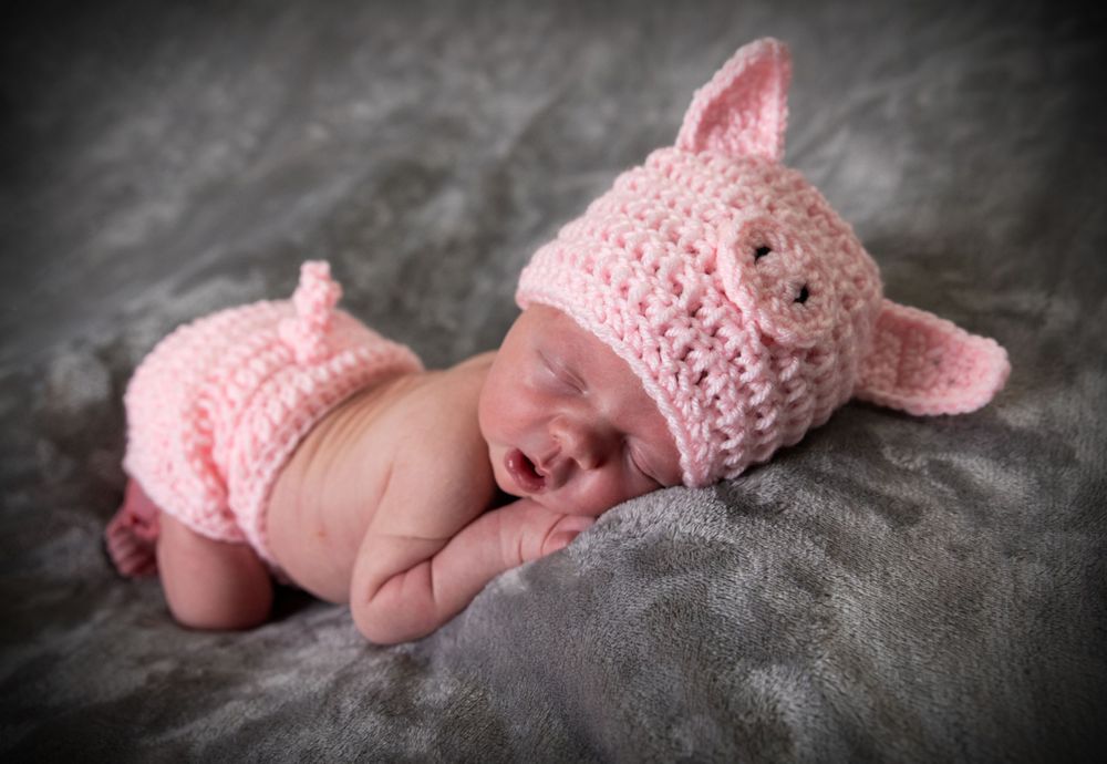 Newborn photography of sleeping baby in knit pig hat