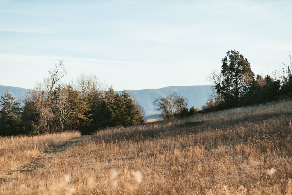 blue ridge mountains, natural bridge Virginia photography landscape photo Emily Butz Richmond