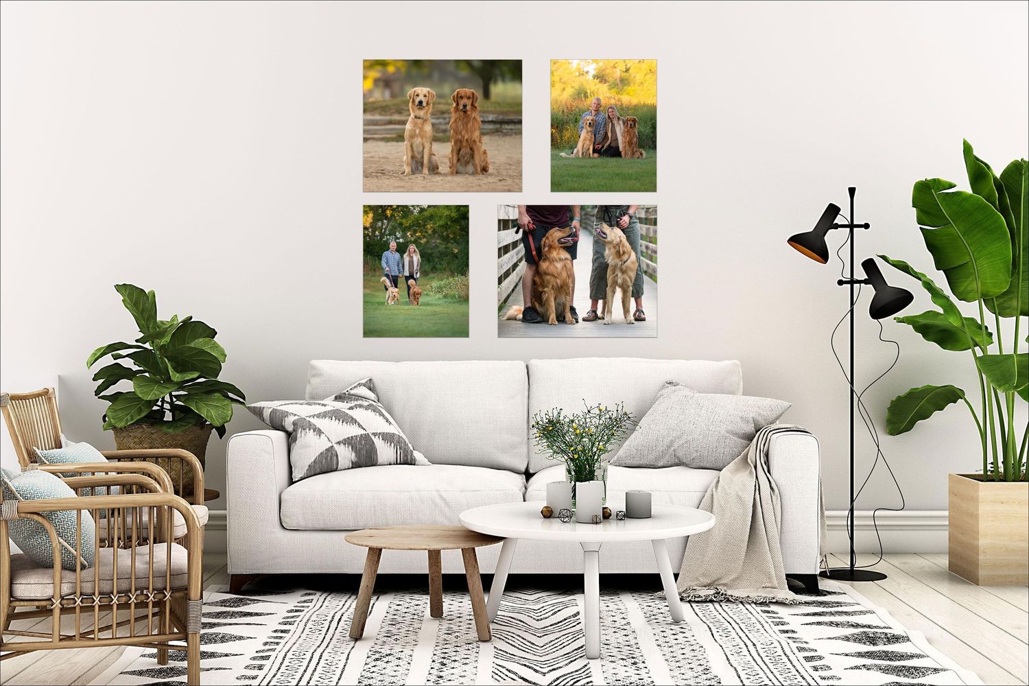 Best dog photographer in wisconsin