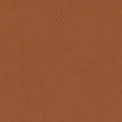 Sienna earth distressed leather album colour swatch