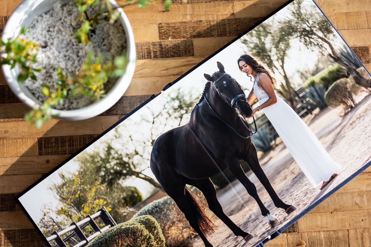 horse and rider professional portraits Album book