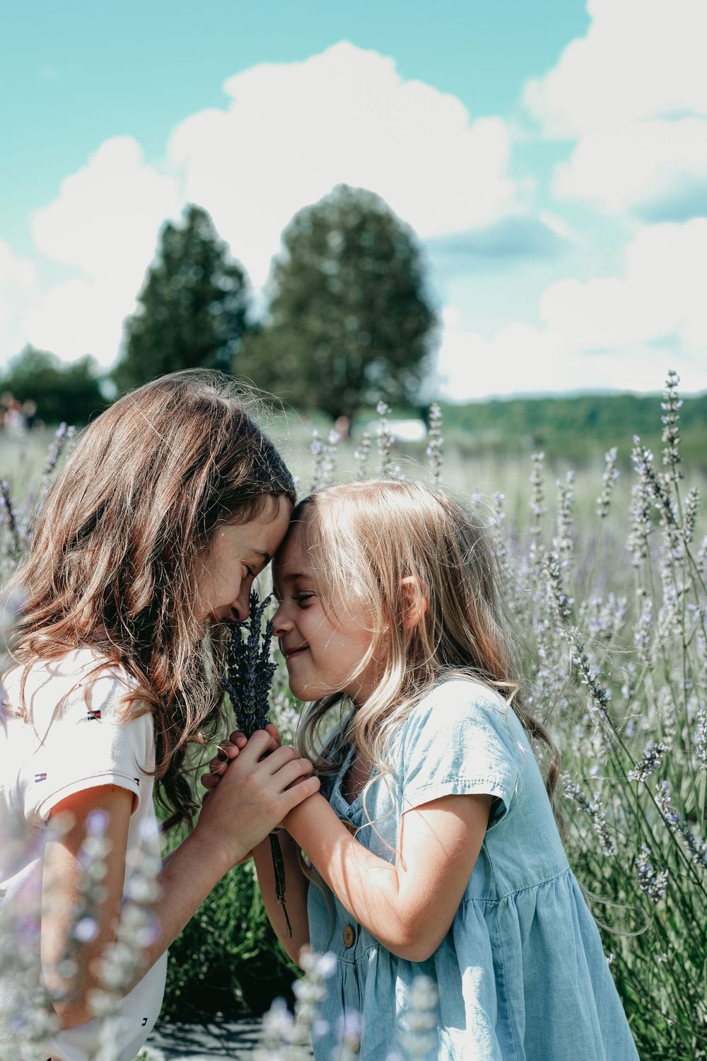 Deux soeurs front à front qui tiennent un bouquet de lavande