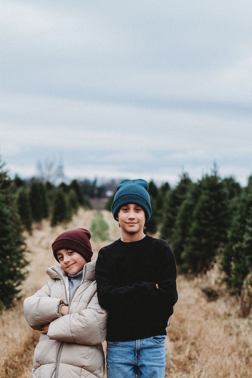 deux frères qui posent dans une plantation de sapins