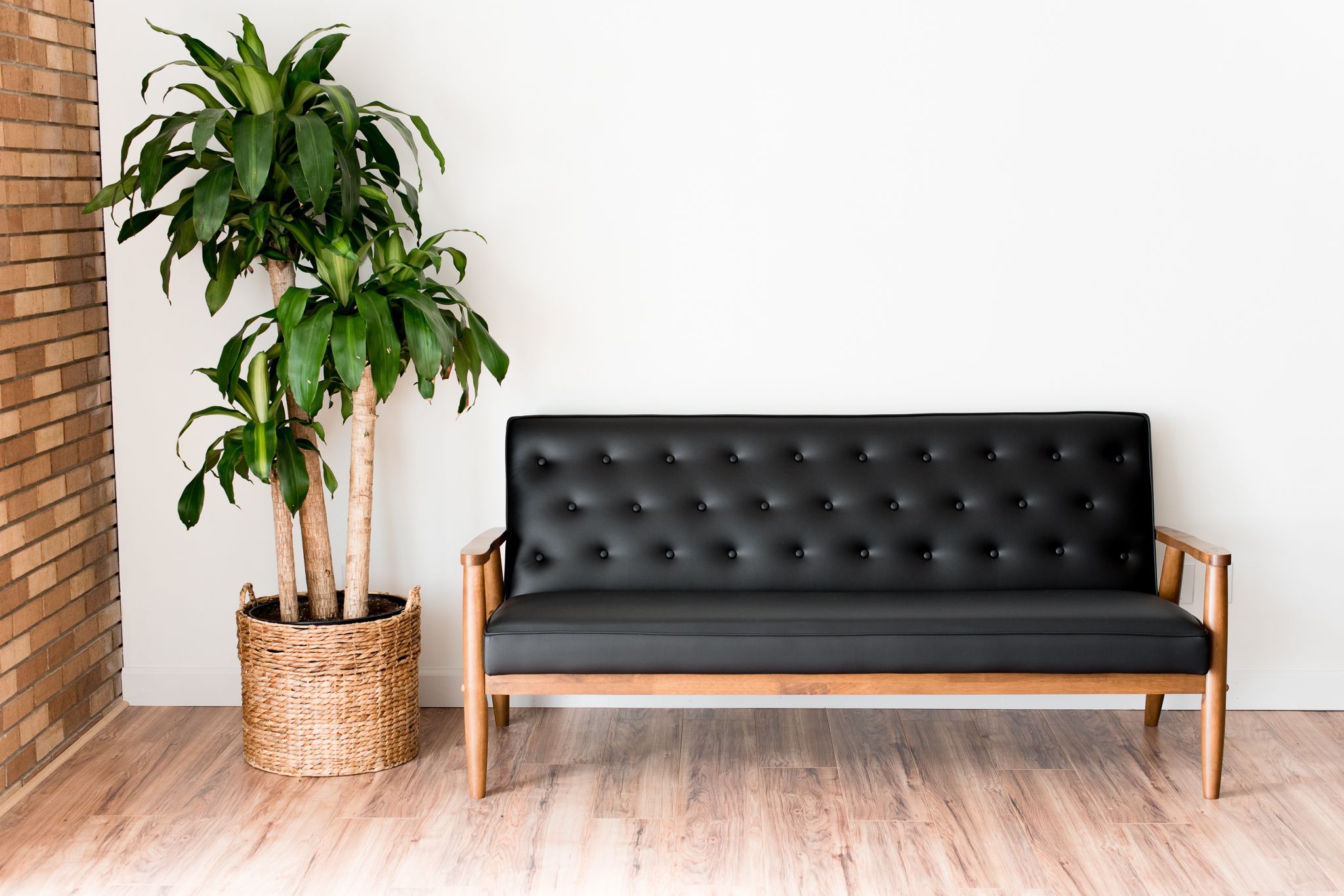 Black couch and corn plant inside photography studio with white walls, brick and wood floor