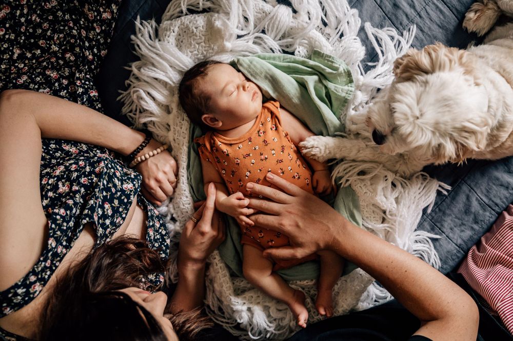 Adelaide in home lifestyle newborn photography south australia best photographer baby photos family wedding maternity