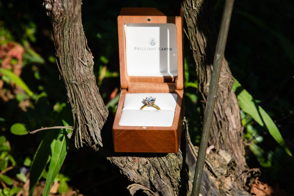 vineyard-engagement-photograph-northfolk-longisland