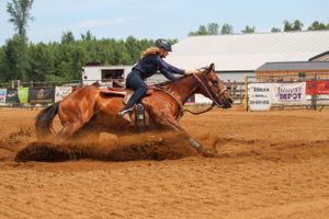 Barrel racer on chestnut horse