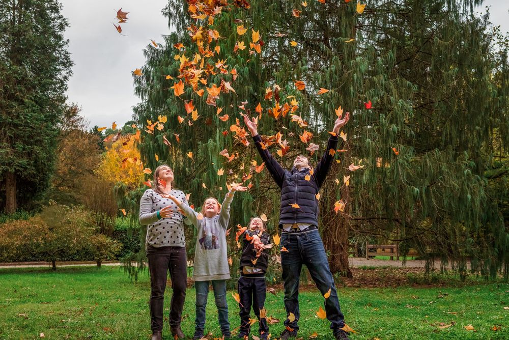 Family throwing Autumn leaves into air in Melbourne park