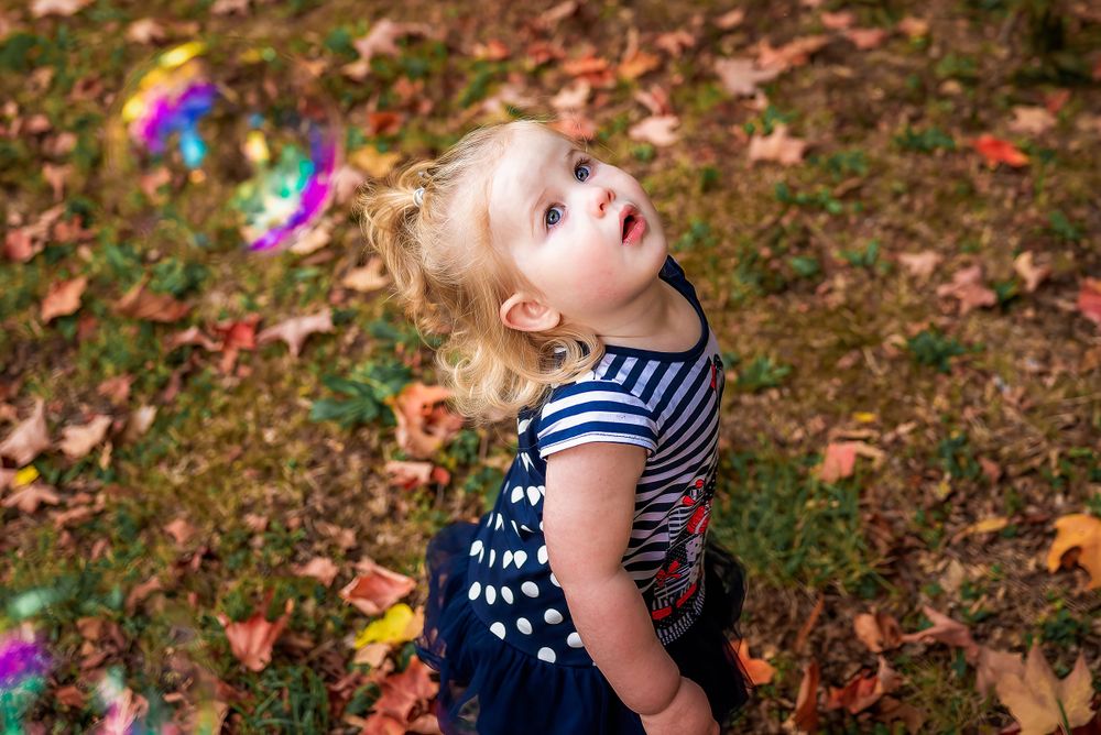 Toddler girl looking at bubbles during photoshoot in Melbourne