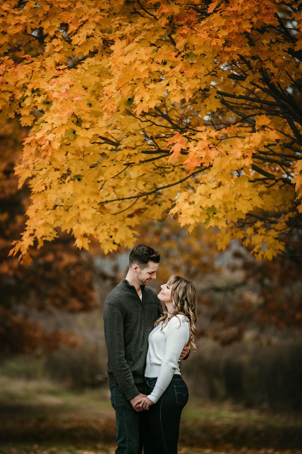 Fall engagement photos at Fanshawe Conservation Area London Ontario by photographer Shawn Van Daele
