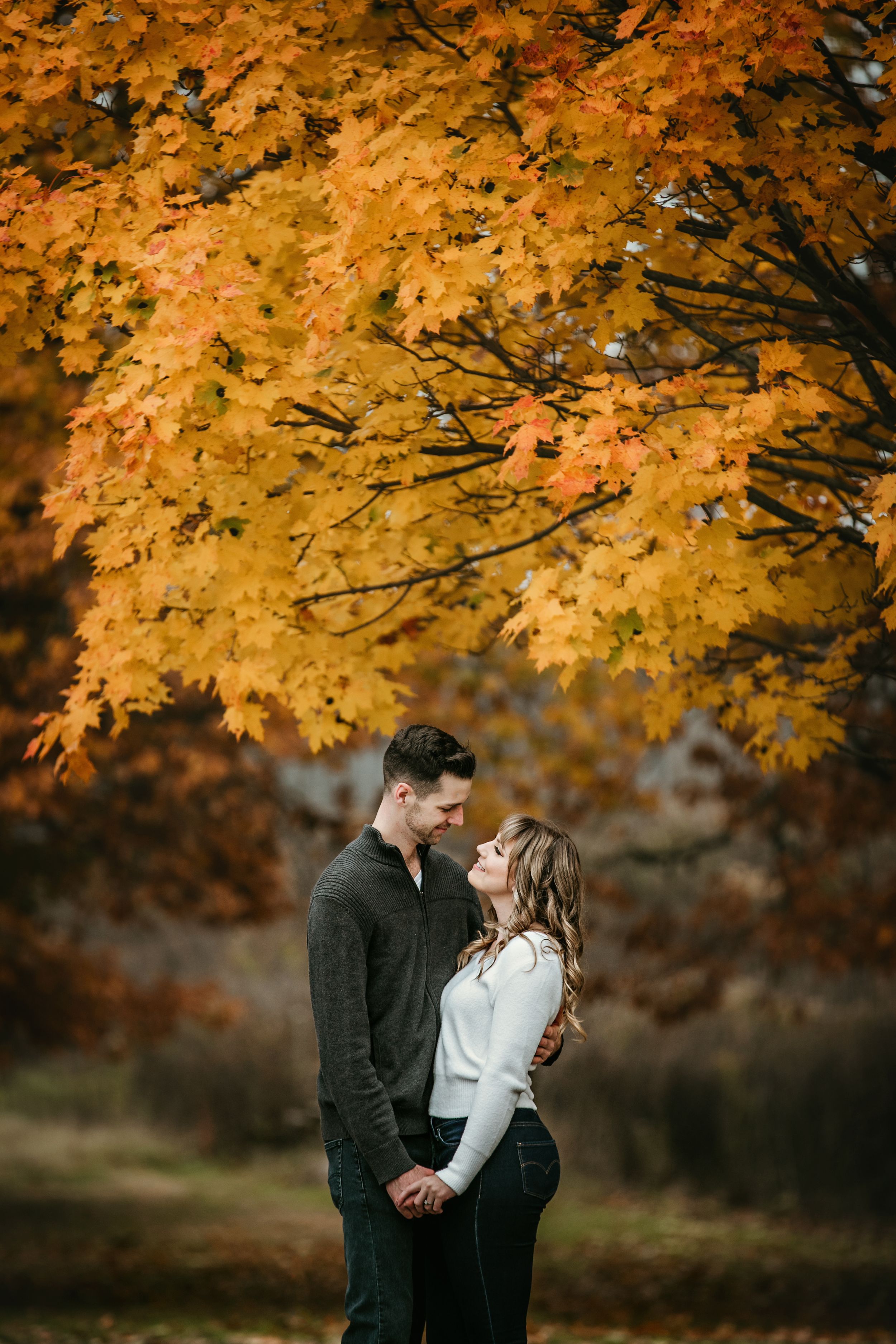 Fall engagement photos at Fanshawe Conservation Area London Ontario by photographer Shawn Van Daele