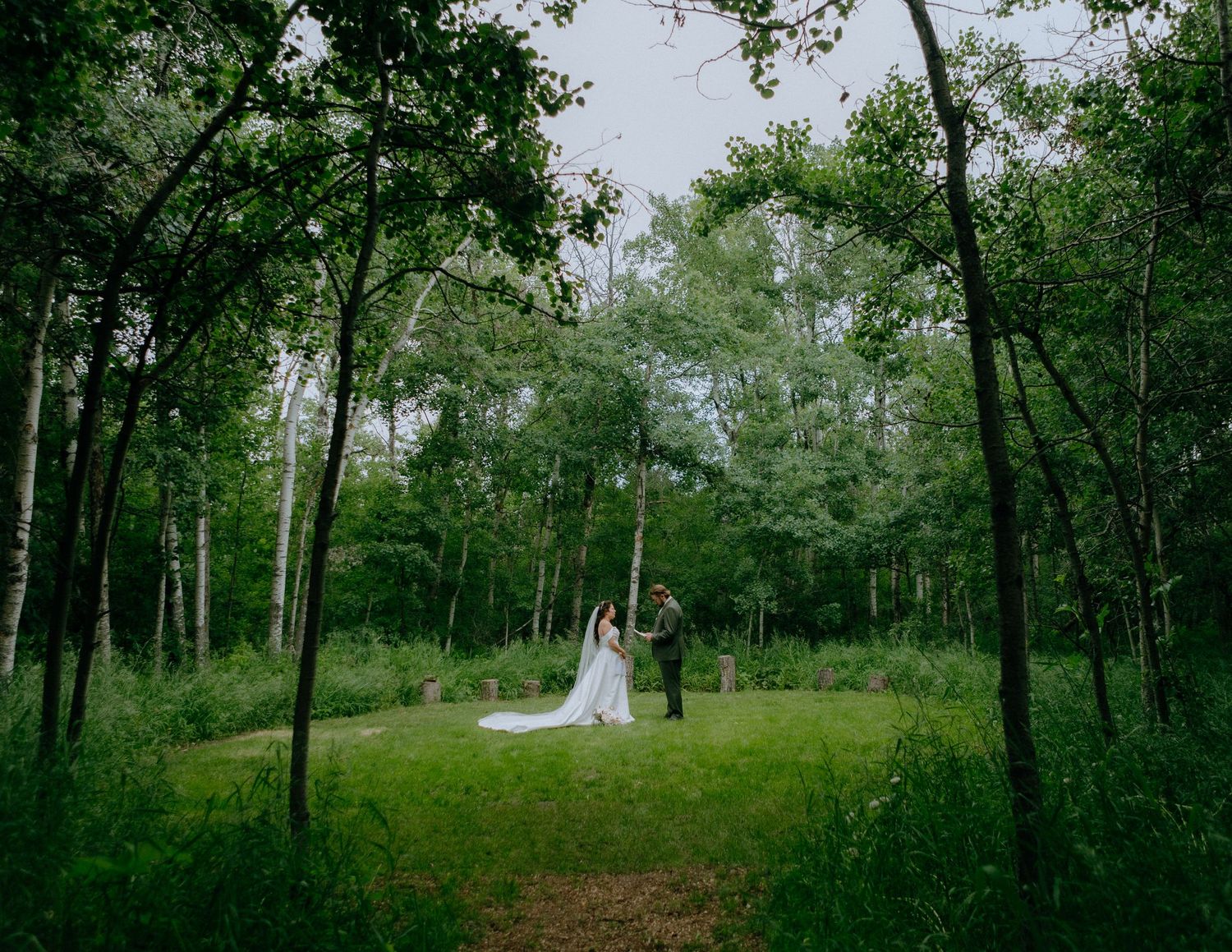 A serene woodland wedding ceremony site with tall trees creating a natural cathedral effect.