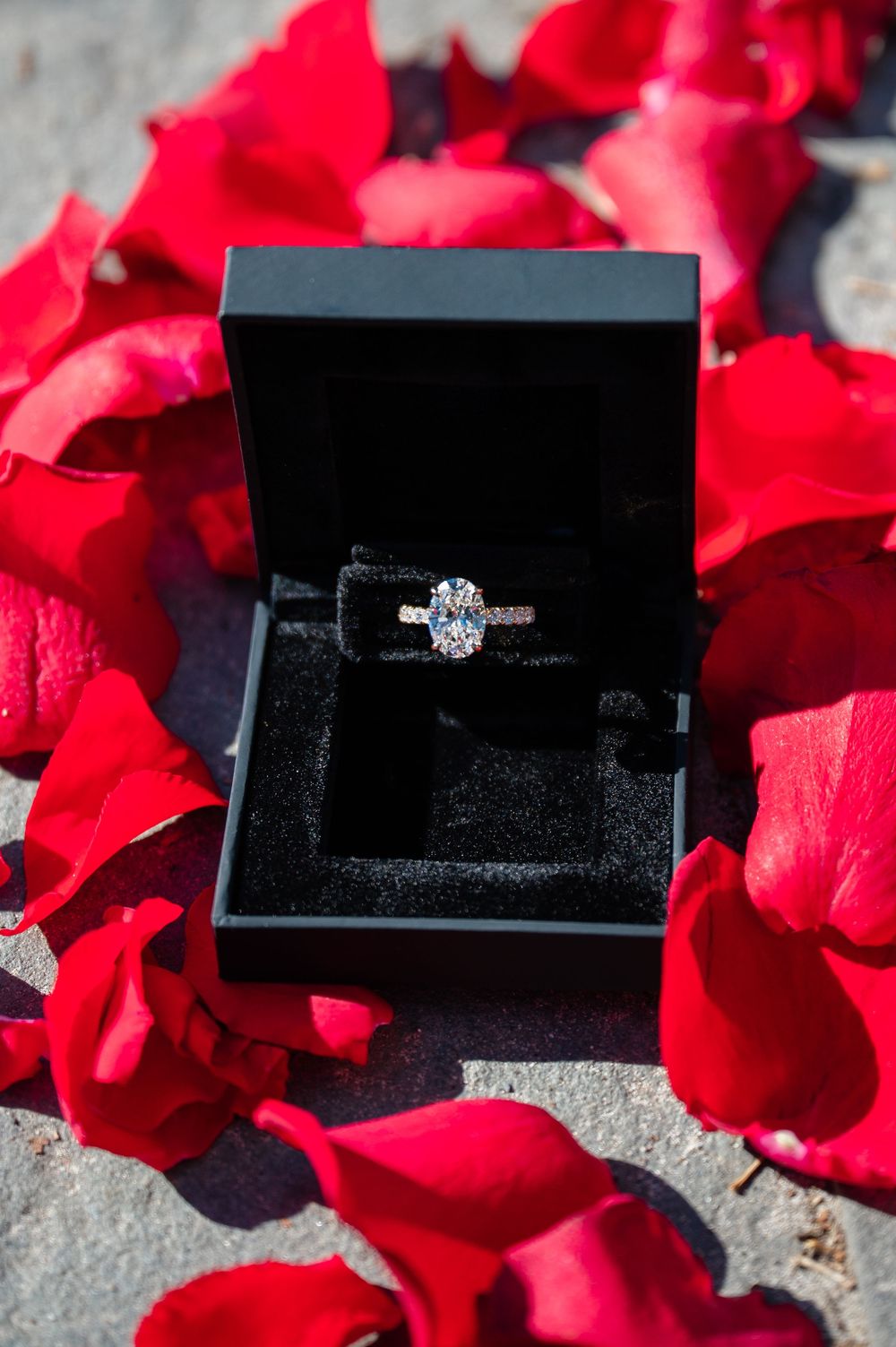 A diamond engagement ring in a black box surrounded by vibrant red rose petals.