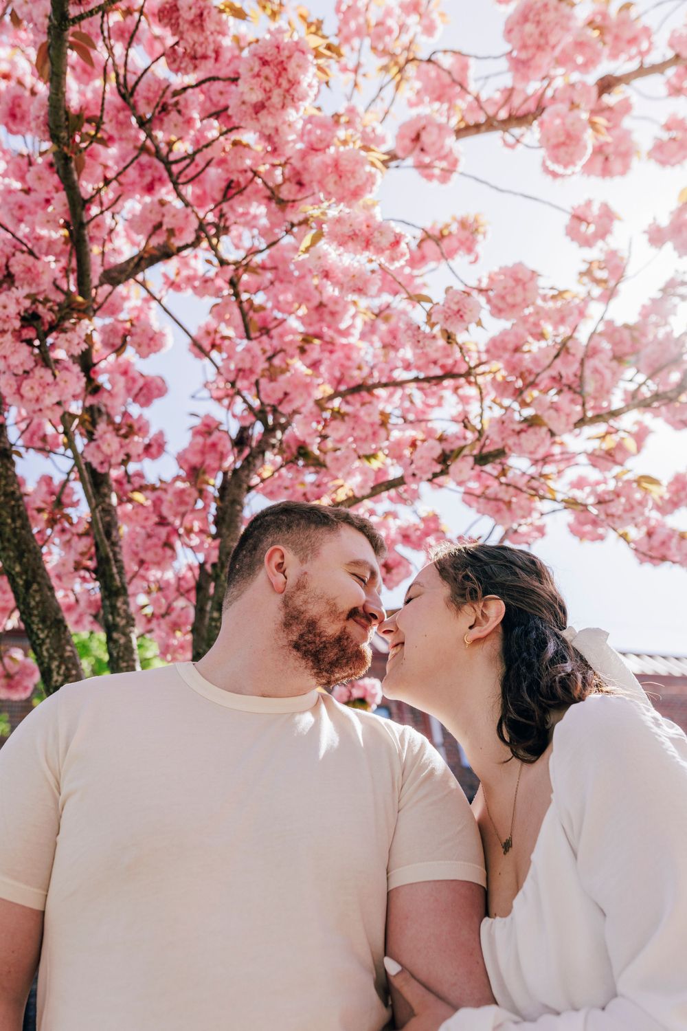 A romantic couple shares an intimate moment beneath blooming pink cherry blossoms on a bright spring day.