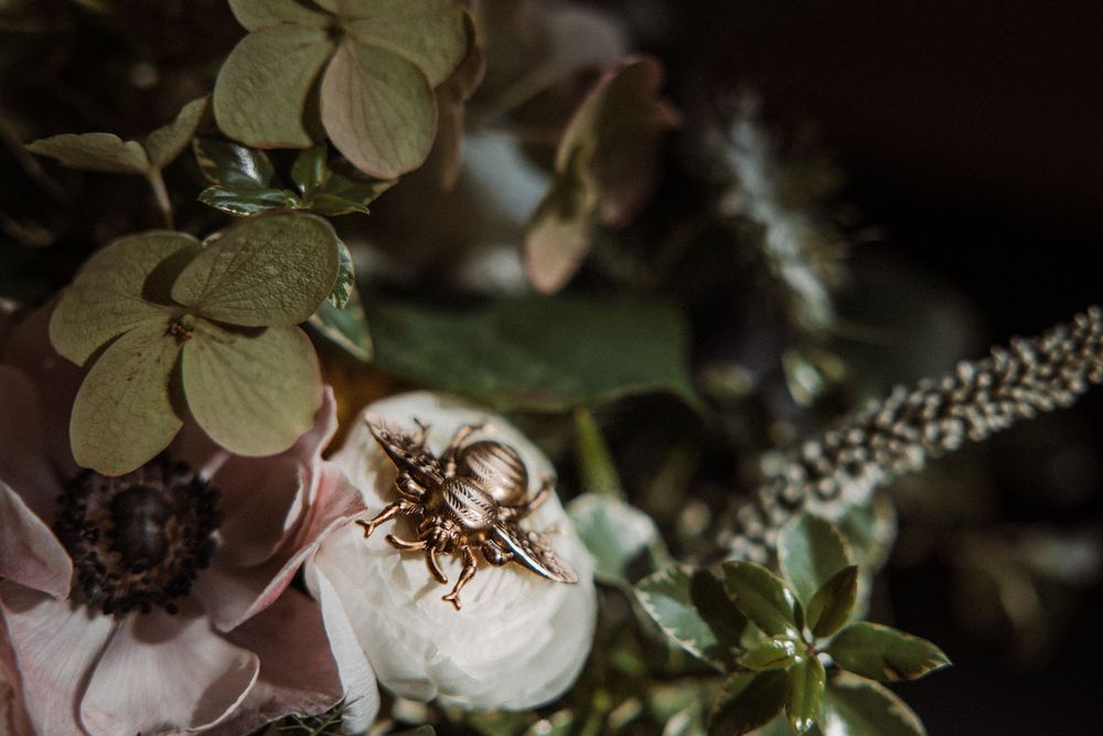 Close-up shot of wedding rings resting on a light pink rose surrounded by soft green foliage in moody lighting.
