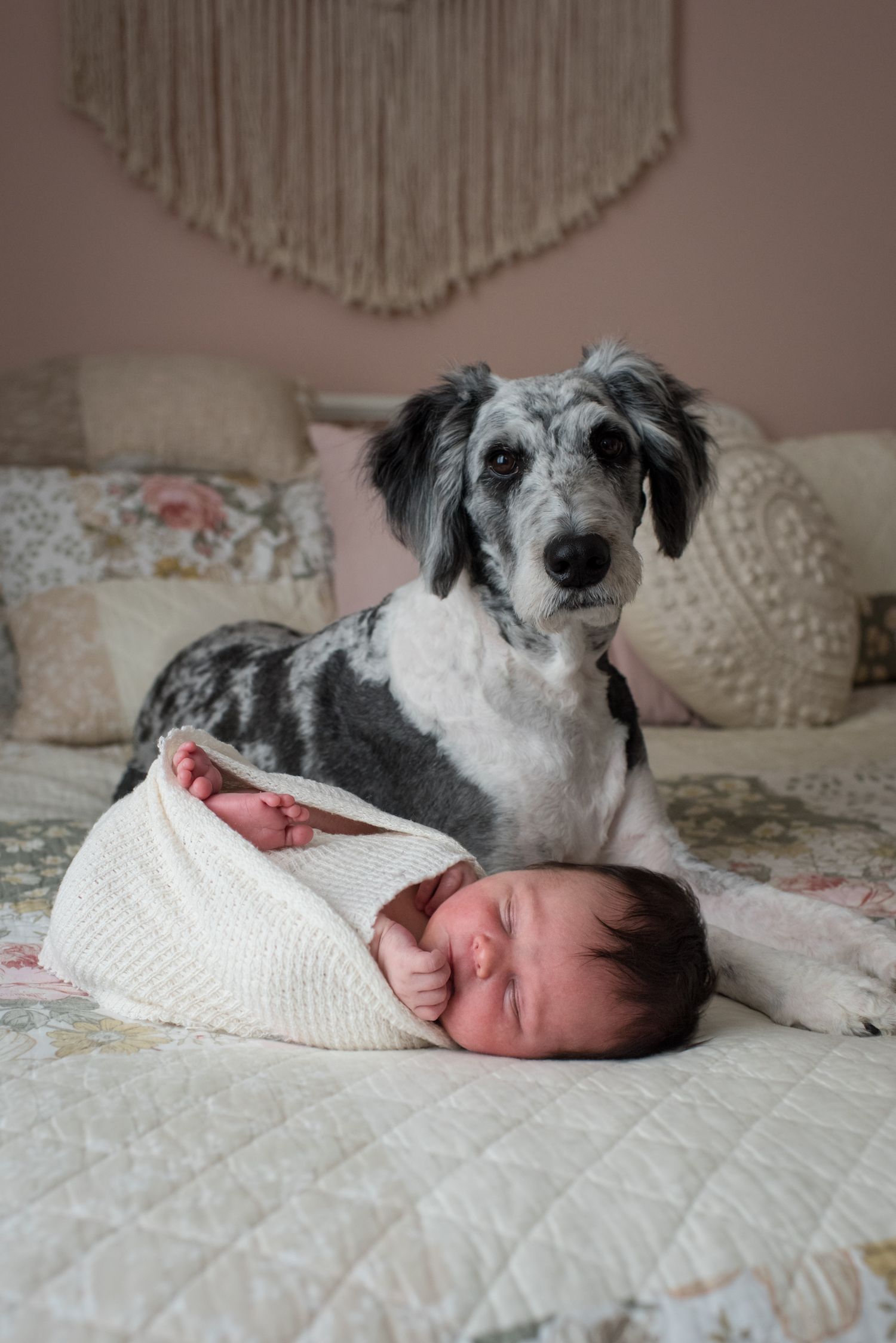 Krystel_Beaulieu_Photographie_Nouveau-ne_Newborn-2023-31