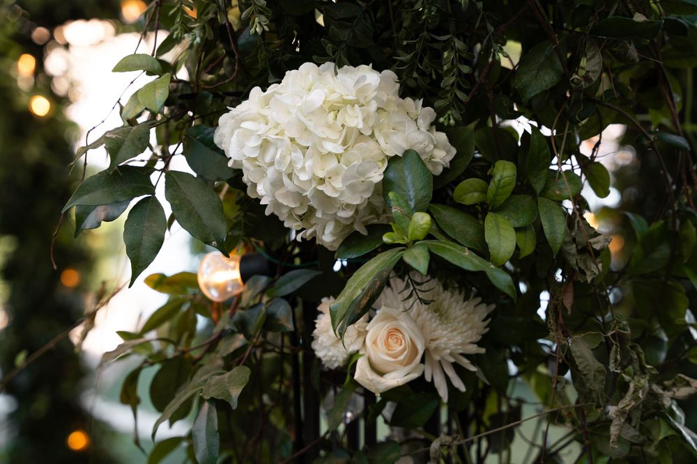 A white hydrangea and rose floral arrangement with green foliage against a softly blurred background.