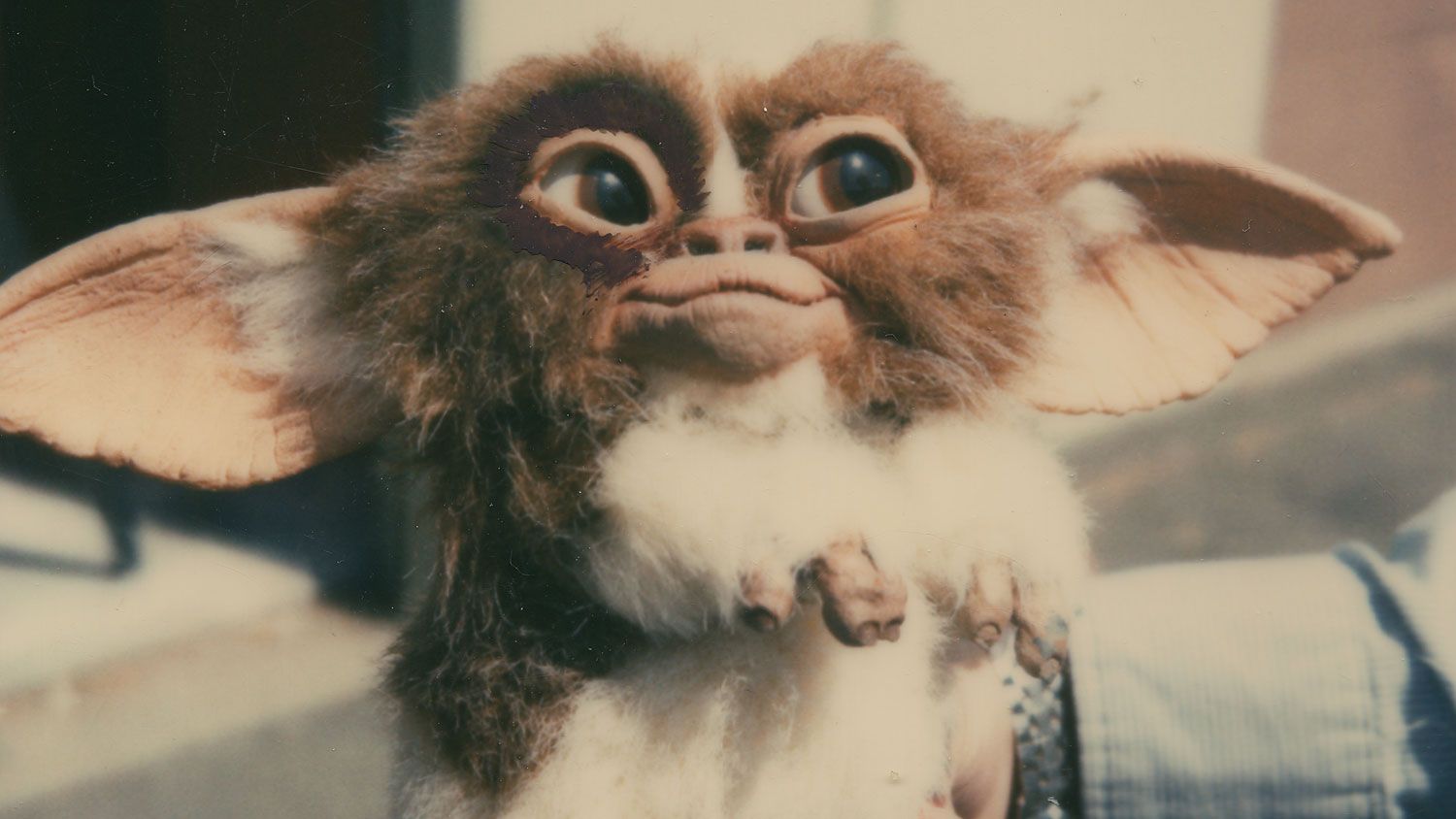 Mogwai from Gremlins