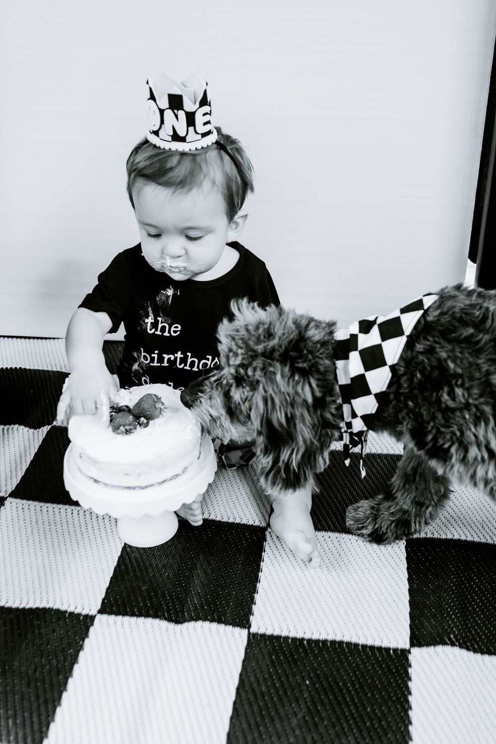 Black and white photo of small child in crown sharing birthday cake with furry pet.