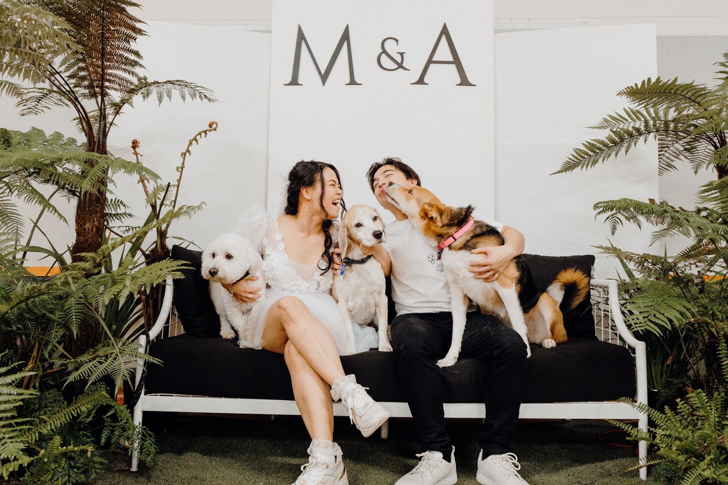 Happy couple relaxes on white bench with their dogs against tropical plant backdrop.