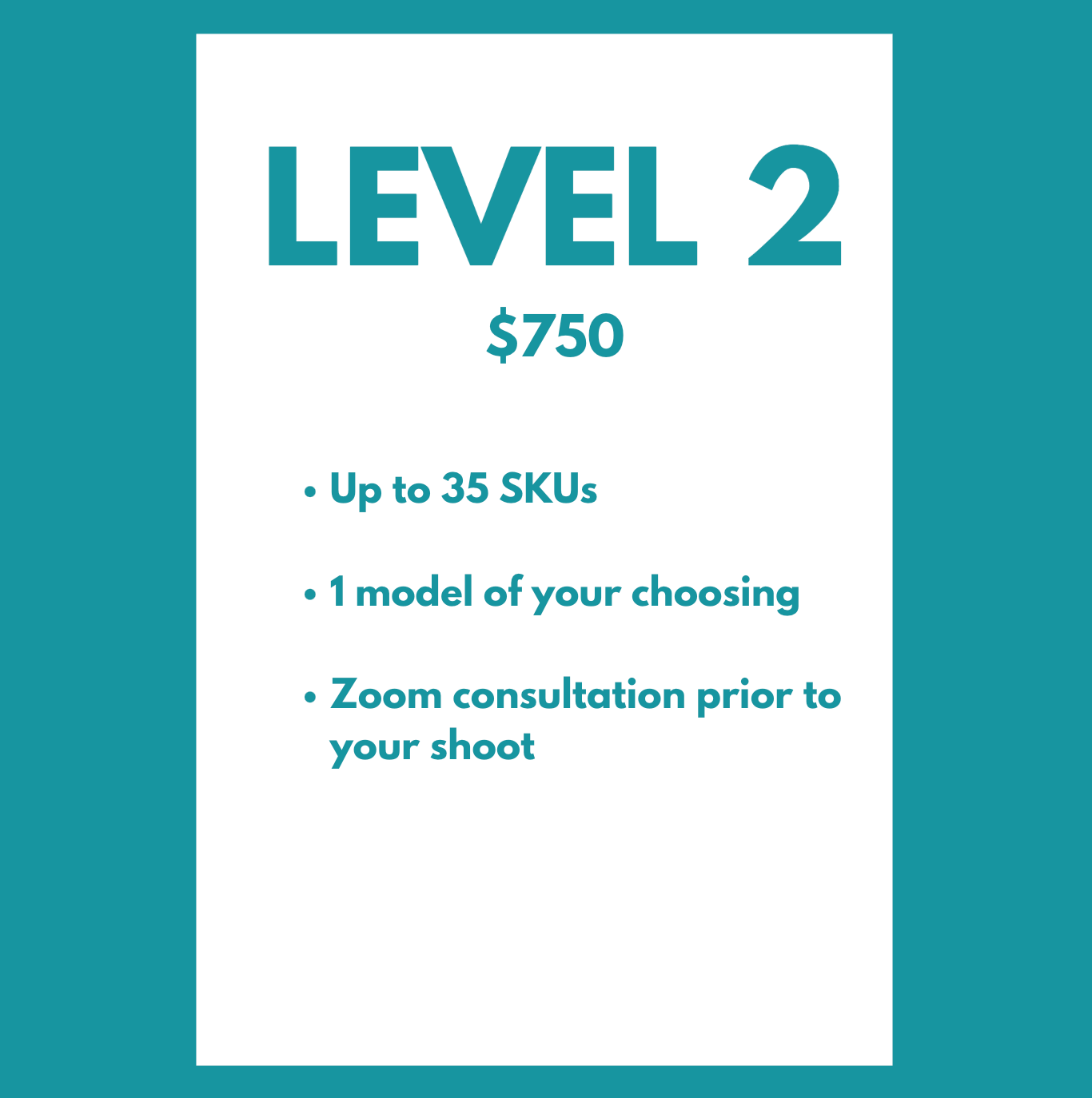 Level 2 garment photography pricing - $750