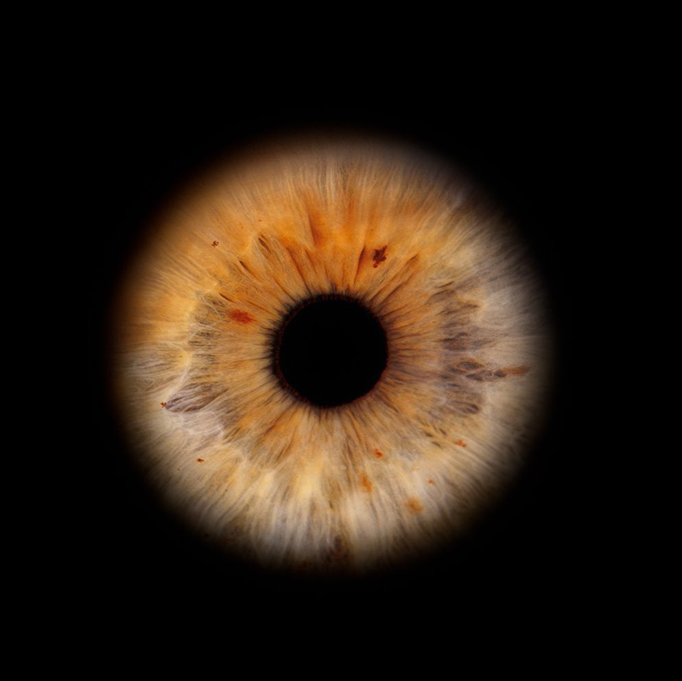 A macro photograph captures the intricate patterns of a light brown human iris illuminated against a dark background.